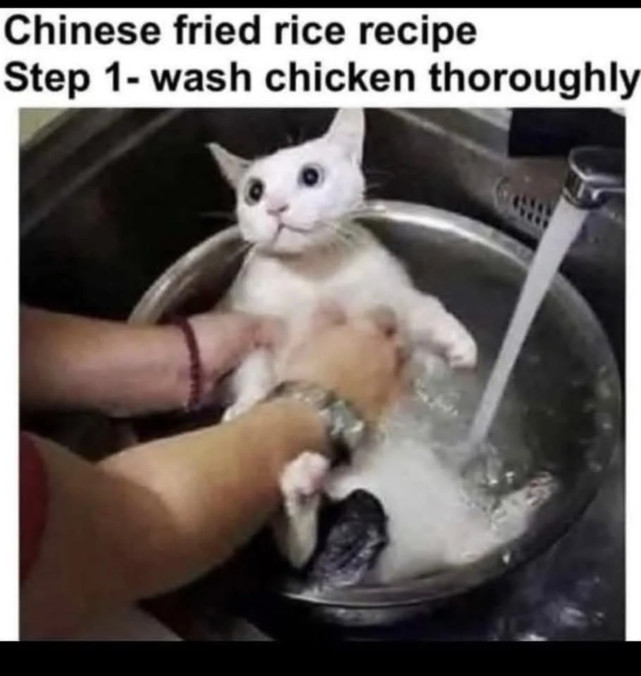 1765260792923.webp